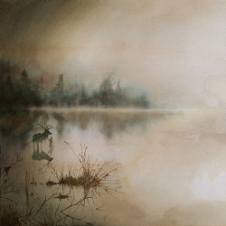 Sólstafir: Berdreyminn (CD)