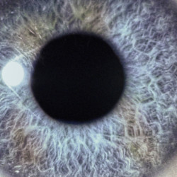 Dan Swanö: Moontower (2xCD)