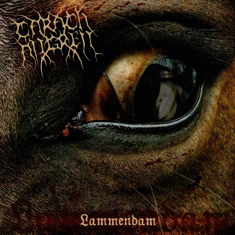 Carach Angren: Lammendam (CD)